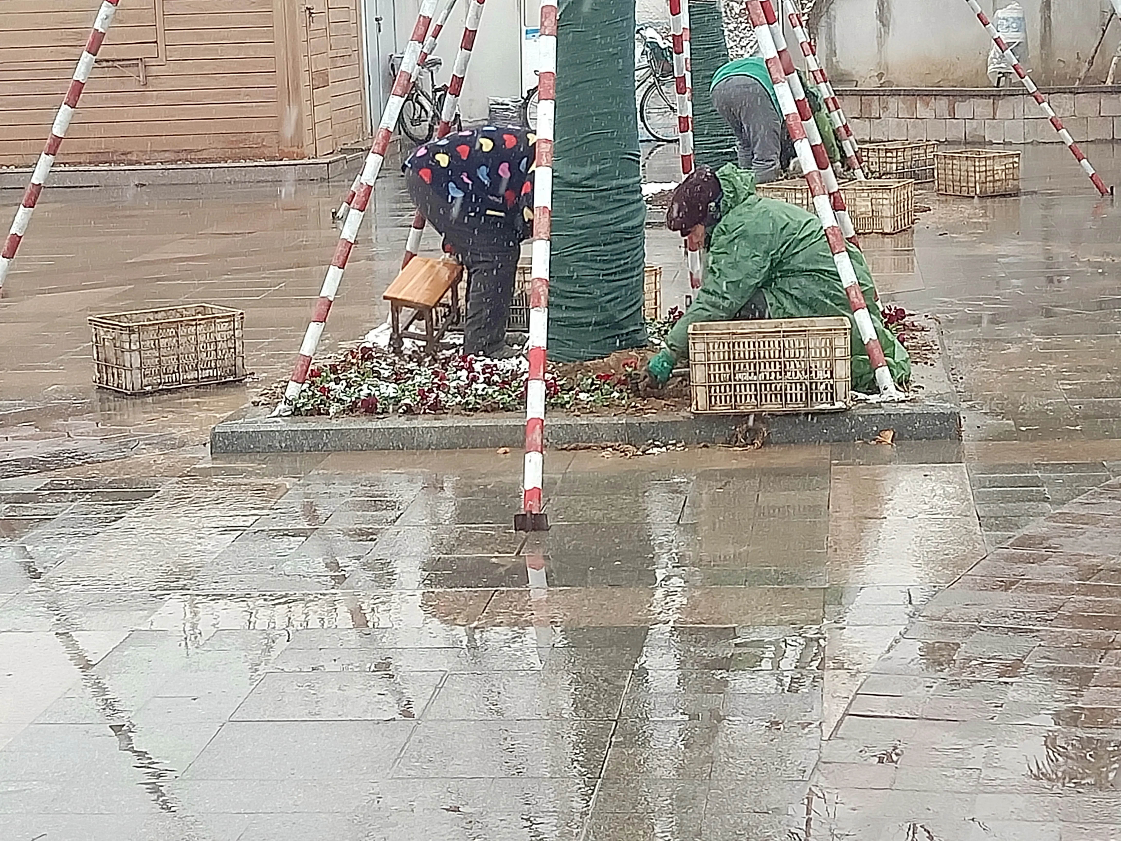 IMG20190109133317.jpg