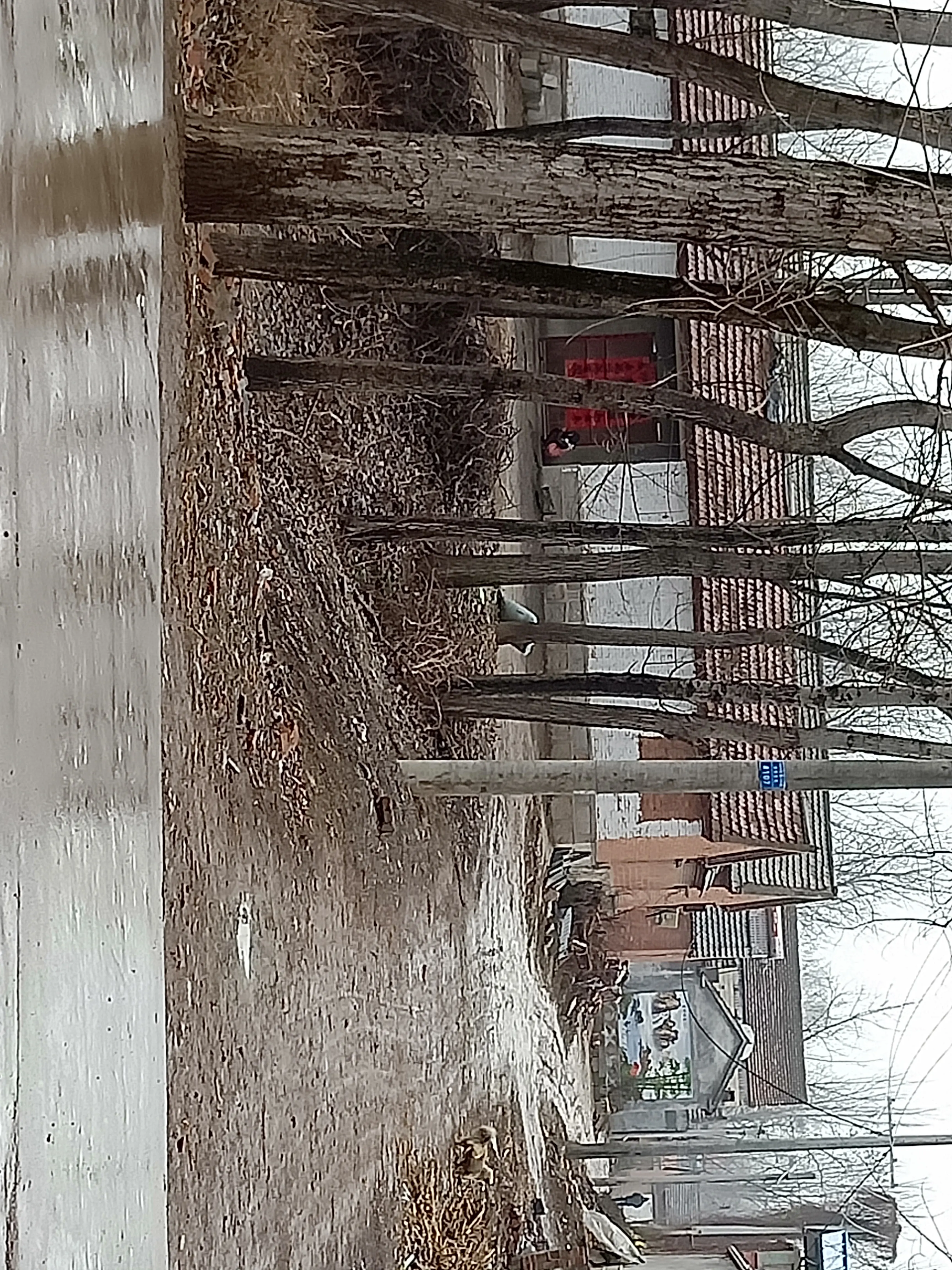 IMG20190214122757.jpg