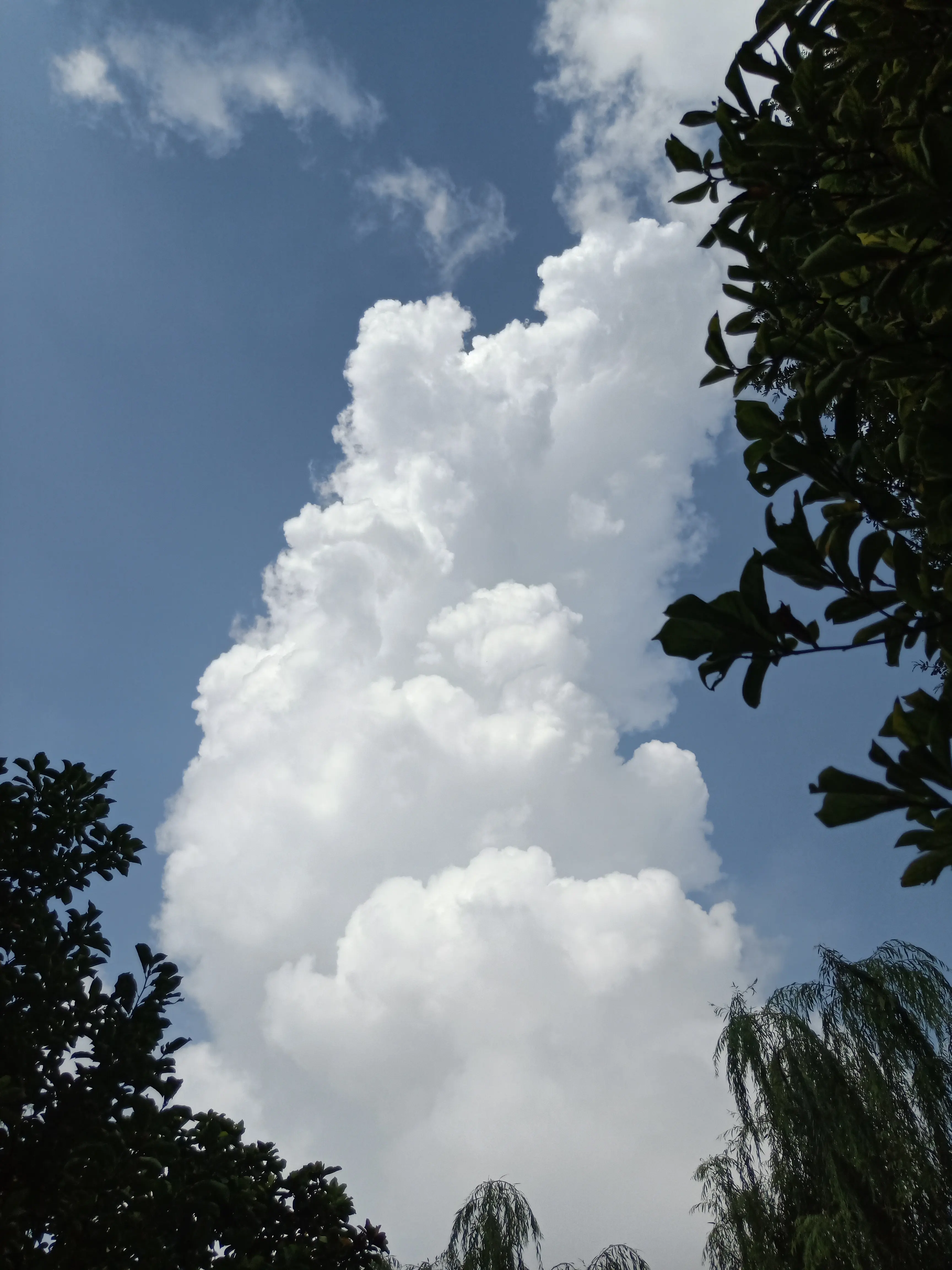IMG20200831092721.jpg